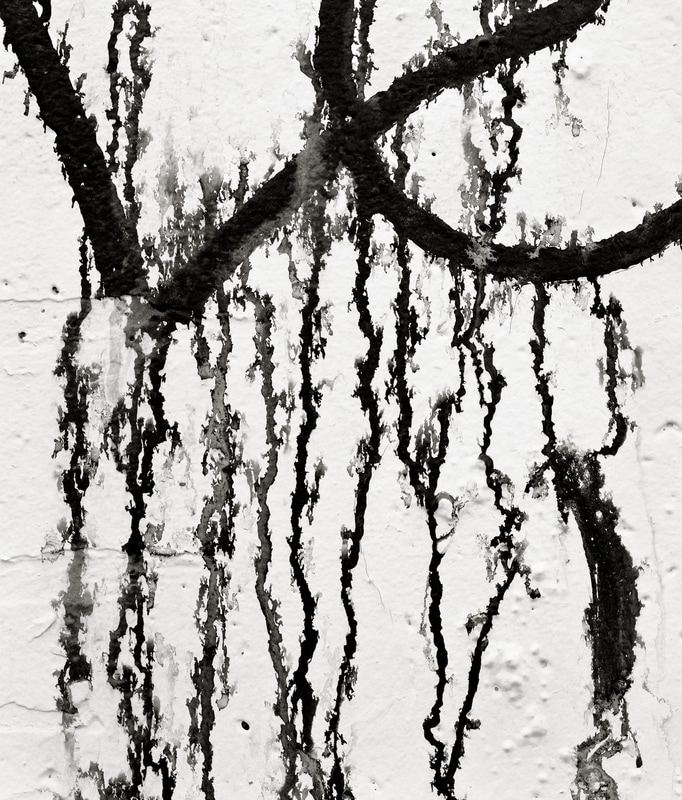 Abstract black and white photograph