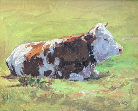 Portrait of a sitting cow