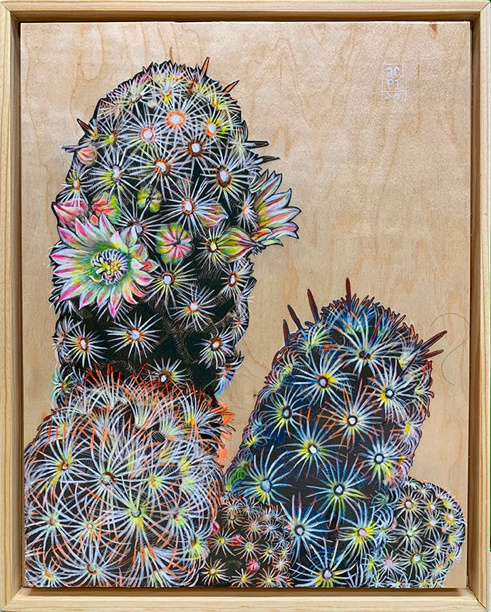 Illustrative painting of blooming cacti on wood