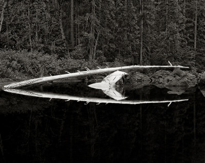 Black and white art photograph of river scene