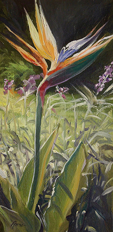 Painting of blooming bird in paradise in garden