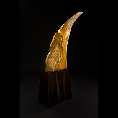 Burl wood sculpture of abstract wing
